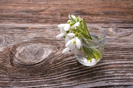 Bouquet of beautiful spring first flowers snowdrops in vase on a wooden backgroundの写真素材