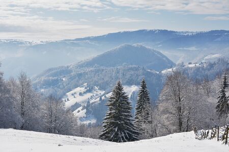 Beautifull winter rural landscape with snow covered treesの写真素材