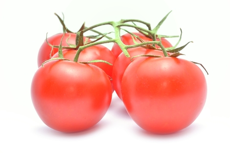 tomato isolated on white backgroundの写真素材