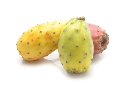 prickly pear fruit isolated on white backgroundの写真素材