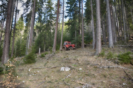 Skidding timber / Tractor is skidding cut trees out of the forest.の写真素材