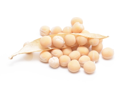 chickpeas on white backgroundの写真素材