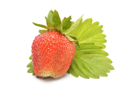 Strawberries with leaves Isolated on a white backgroundの写真素材