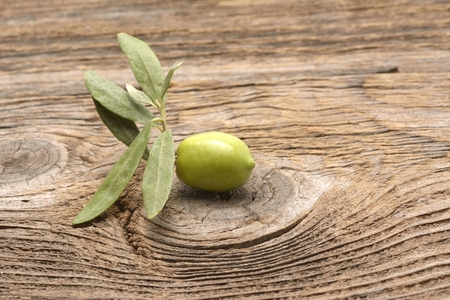 Olive Branch over Wood backgroundの写真素材