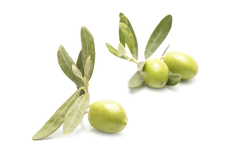 green olives on branch with leaves isolated on whiteの写真素材