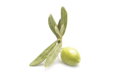 green olives on branch with leaves isolated on whiteの写真素材