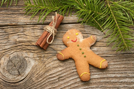 Christmas homemade gingerbread cookies