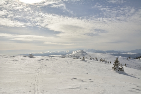 Winter in Ciucas Mountains, carpathina mountainsの写真素材