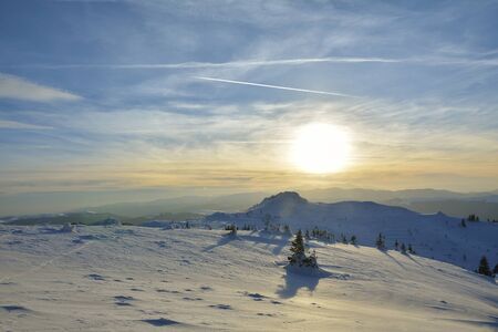 Sunset time in a cloudy day in Ciucas Mountains. The fir forest is covered with snowの写真素材