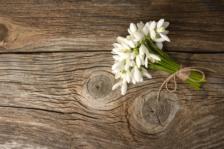 Snowdrops bunch on wooden backgroundの写真素材