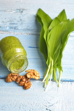 Bear's onion pesto, wild garlic, walnuts and pesto on blue wooden backgroundの写真素材