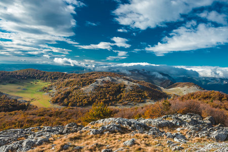 Beautiful view of idyllic alpine mountain scenery with blooming meadows and snowcapped mountain peaks on a beautiful sunny day with blue skyの写真素材