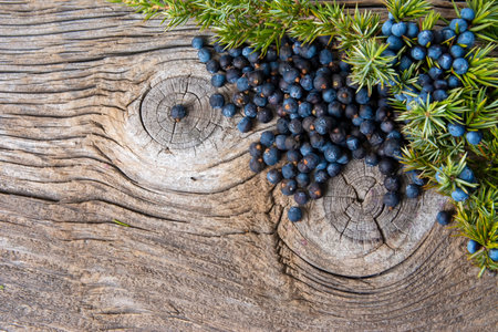 Juniper berries on a wooden backgroundの写真素材