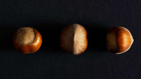 Three huzelnut nuts on a black backgroundの写真素材