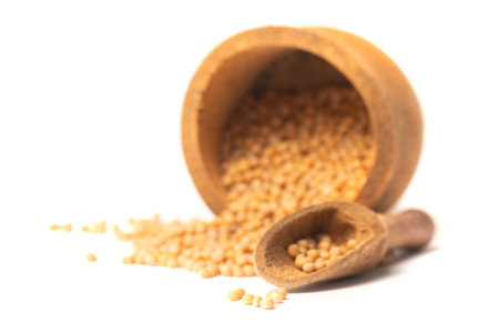 Yellow mustard seeds in the wooden scoop, isolated on whiteの写真素材