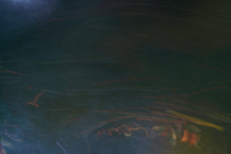 Green abstract watercolor texture background.の写真素材