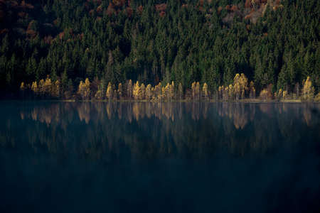 Autumn landscape with trees reflecting in the water at St. Ana's lake, Romaniaの写真素材