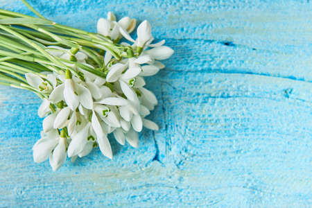 Bouquet of snowdrops on a blue background. gift for March 8, mother's day.の写真素材
