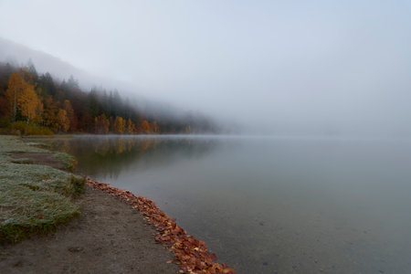 Autumn foggy morning on the shore of lake in the mountainsの写真素材