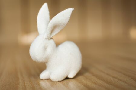 White rabbit on wooden tableの写真素材