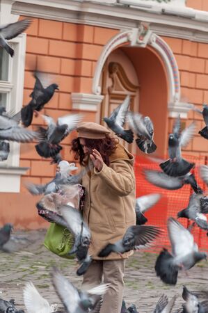 TIMISOARA, ROMANIA - JANUARY 20, 2014: Woman feeding crumbs of bread to pigeons in the street.のeditorial素材