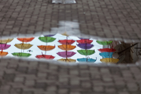 Reflection of umbrellas in a puddle on the street. Umbrella passage.の写真素材