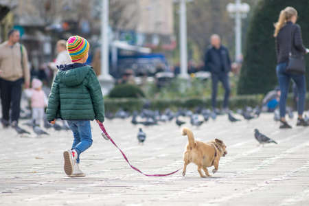 TIMISOARA, ROMANIA - NOVEMBER 17, 2019: Kid walking his dog on the street. Real people.のeditorial素材