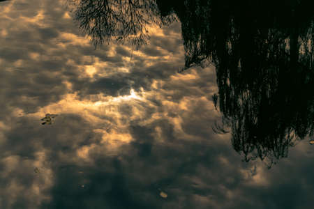 Close-up of a dead leaf on a river. Clouds reflecting on the surface of a river