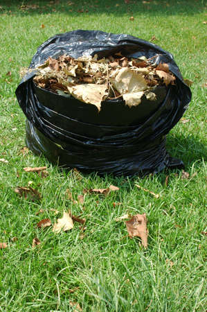 A bag of leaves in the yardの写真素材