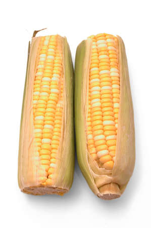 Two ears of corn over whiteの写真素材