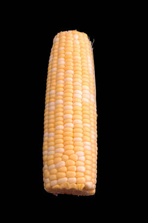 Ear of corn isolated over blackの写真素材