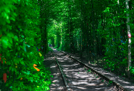 A railway in the spring forest tunnel of loveの写真素材