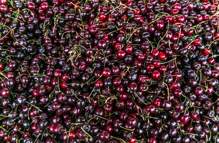 Fresh ripe perfect cherry - Food Frame Backgroundの写真素材