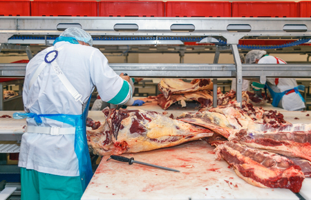 Cutting meat slaughterhouse workers in a meat factory.の写真素材