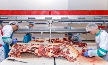 cutting meat slaughterhouse workers in a meat factory.のeditorial素材