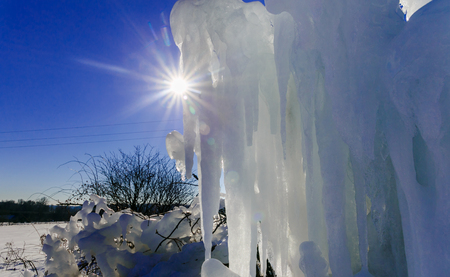 Frozen drops of water on the grass and bushes with a bright winter sunの写真素材