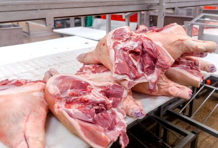 cutting pigs at a meat factory.の写真素材