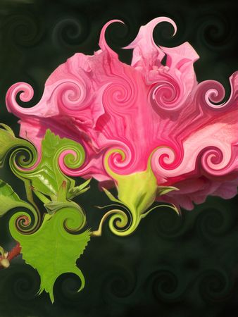 Abstract Pink Flowerの写真素材