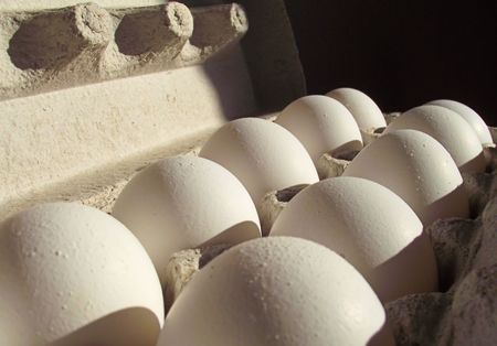 Egg Carton Filled With Organic Farm Eggs