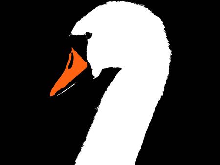 Abstract Swan Portrait In Black and Whiteの写真素材