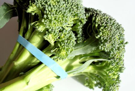Organic Broccoliの写真素材