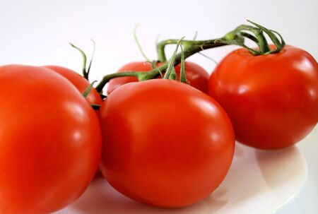 Fresh Garden Tomatoesの写真素材