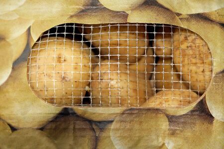 Bagged Potatoes With Mesh Openingの写真素材