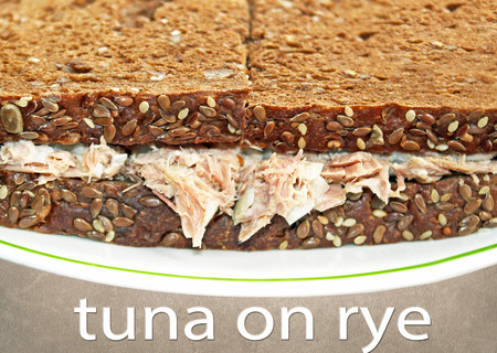 Tuna salad sandwich on Rye Breadの写真素材