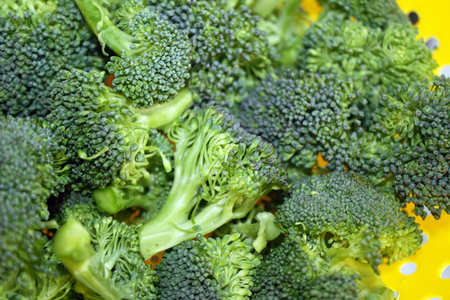 Fresh Organic broccoli florets in colander after rinsingの写真素材
