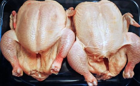 Whole uncooked chickens in roaster ready for cookingの写真素材