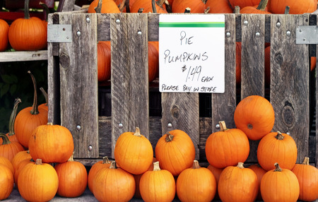 Pie pumpkins For Sale at farmer's marketの写真素材