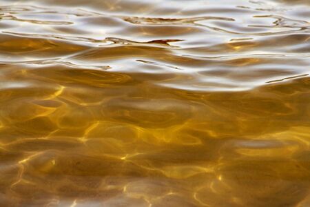Beautiful waters of gold with soft ripples on surface and natural lightの写真素材