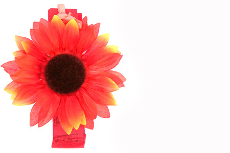 flower decoration presentの写真素材