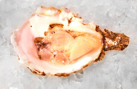 mediterranean oyster on ice